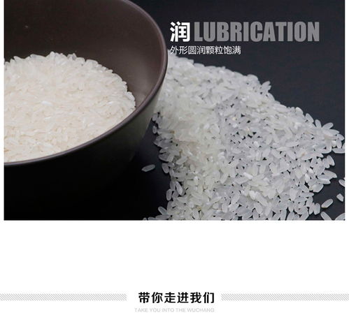 大清溝遼寧特產(chǎn)生態(tài)米 東北大米5kg 包郵 新疆 青海 西藏 港澳臺(tái)除外