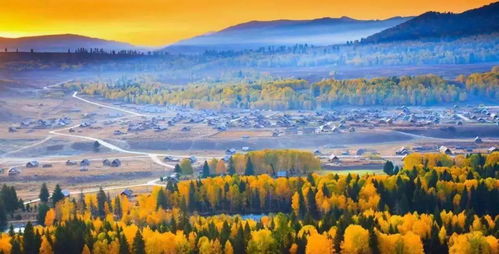 它比普通李子甜,還是妹紙最愛的減肥水果