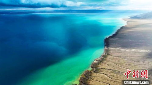 阿爾金山 生態畫卷徐徐展開 野生動物家園煥新顏
